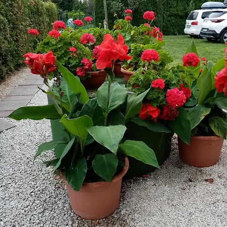 Mit Pool, Spielplatz Und Garten Nyaraló Balatonmáriafürdő